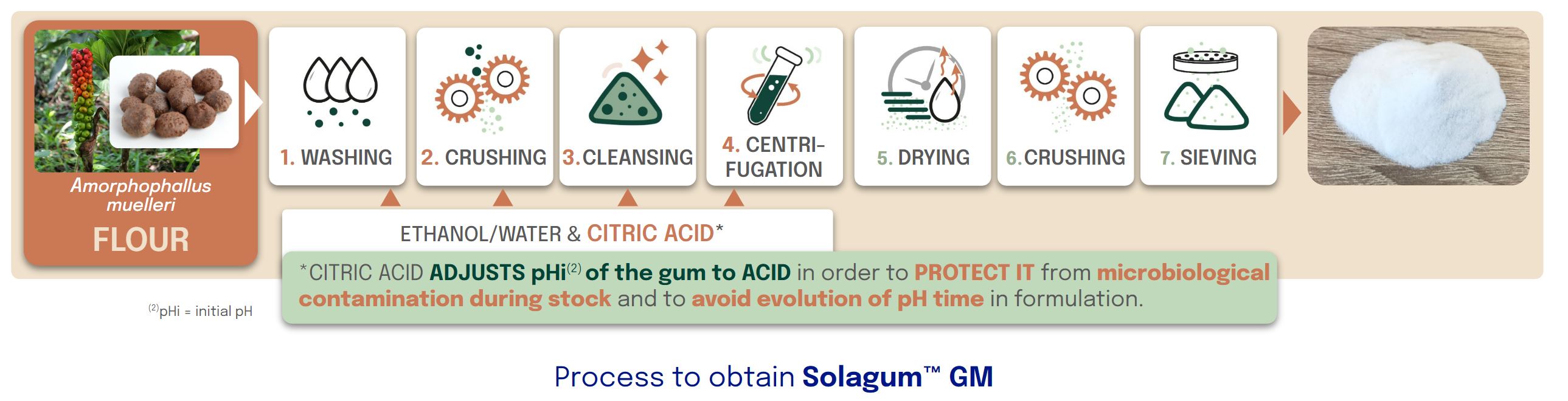 Process to obtain Solagum GM