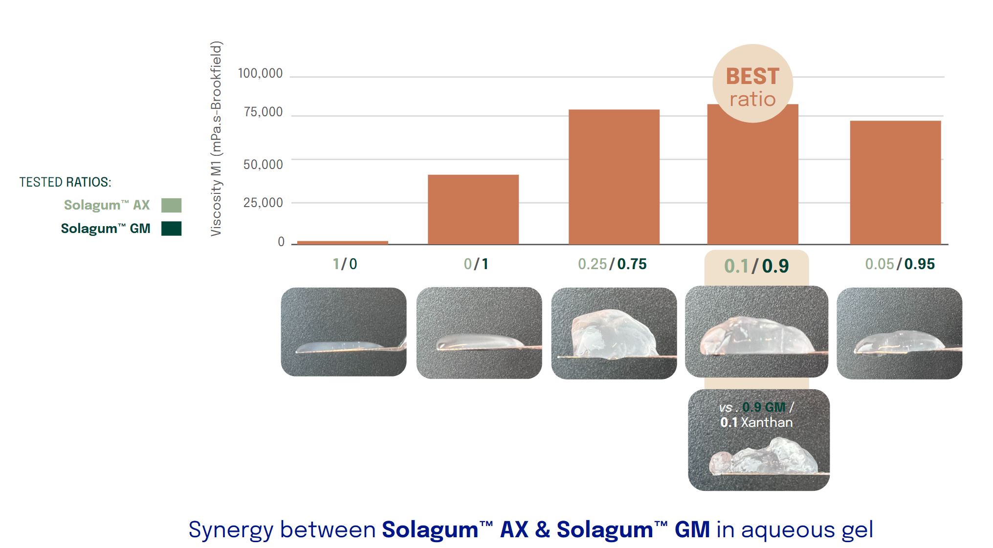 Synergy Solagum AX and Solagum GM