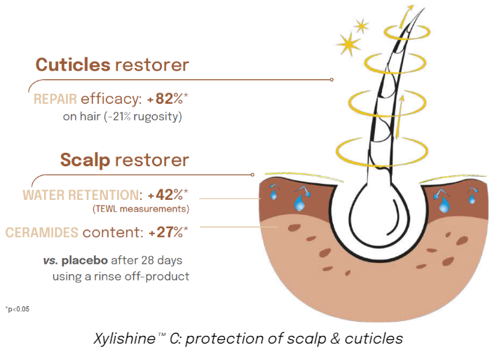 Xylishine™ C Protection of scalp and cuticles